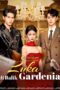 Luka Di balik Gardenia drama china
