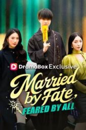 Penyesalan Setelah Bercerai drama china