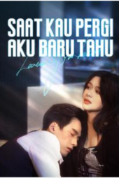 Saat Kau Pergi Aku Baru Tahu drama china