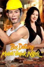 Bos Datang Malah diajak Nguli drama china
