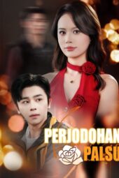 Perjodohan Palsu drama china